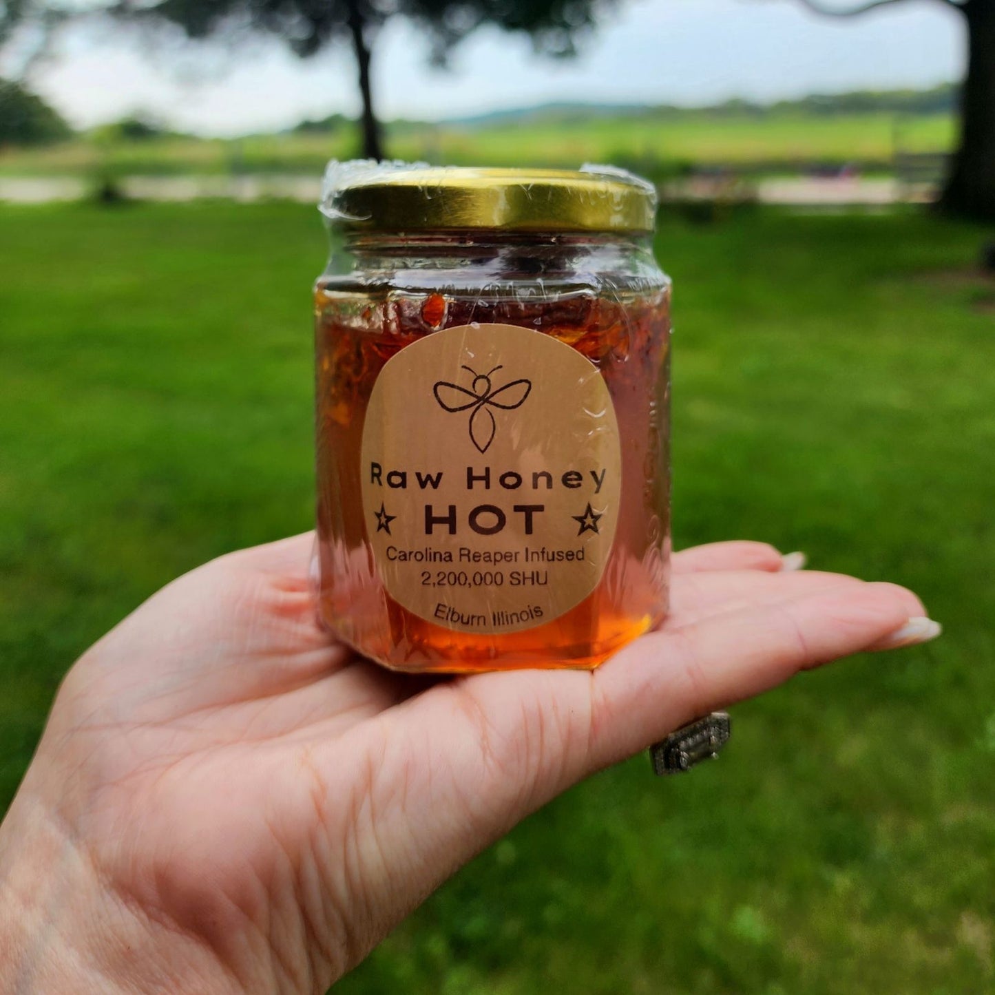 HOT Honey Challenge A hand holding a jar of Raw Honey Hot, infused with Carolina Reaper peppers, showcasing the honey’s label and vibrant outdoor setting in the background. HOT Honey Challenge